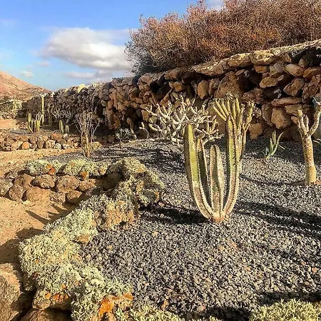 Nature Ocean View 3*