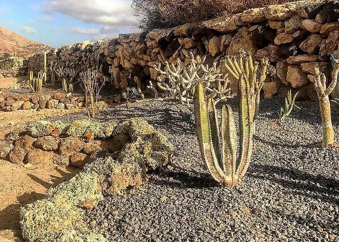 Nature Ocean View 3*